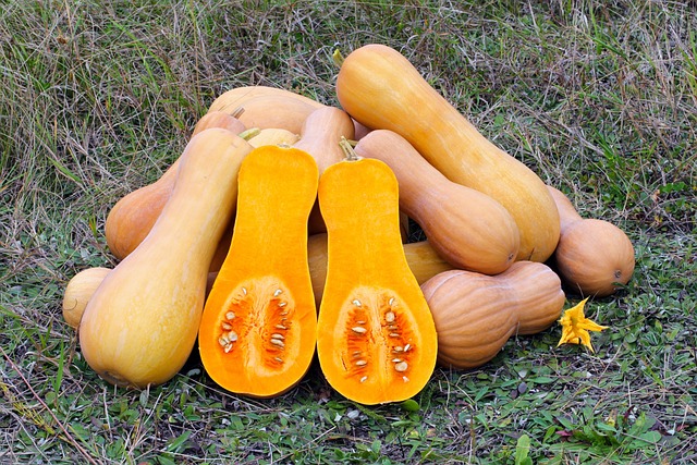 calabaza moscada